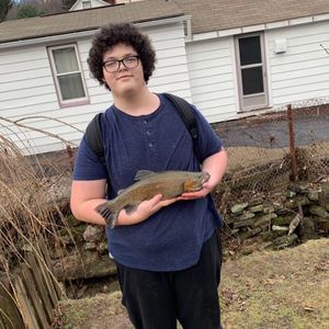 Meet your Posher, Austin